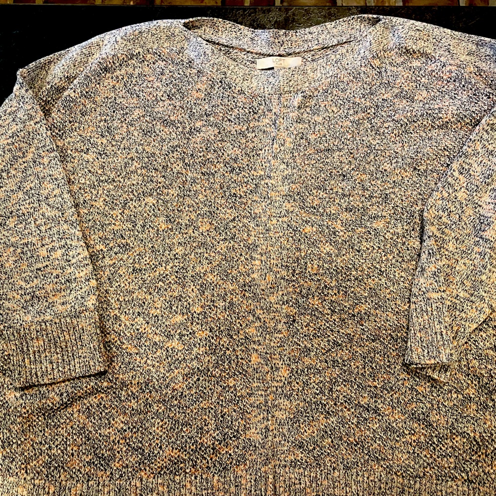 Loft Plus Ragland sleeve sweater
